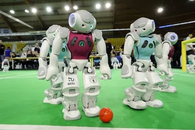 Humanoid robotok a 2016. évi versenyen